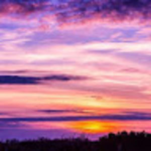 Meet your Posher, Angelique